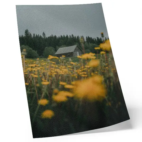 Kunstdruck auf Leinwand rustikaler Hüttenwald mit verschwommenen gelben Blüten