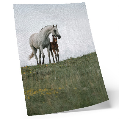 Wandposter Die Schönheit der Natur und der beruhigende Anblick der Pferde