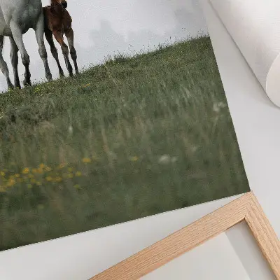 Wandposter mit dem Motiv der Schönheit der Natur und beruhigenden Pferden
