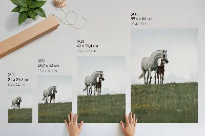 Wandposter mit dem Motiv der Schönheit der Natur und beruhigenden Pferden