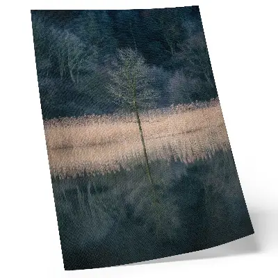 Poster Spiegelung eines einzelnen Baumes im See mit Nebel