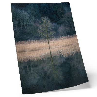Poster Spiegelung eines einzelnen Baumes im See, Nebel
