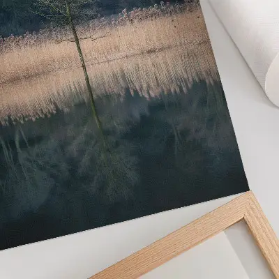 Poster Spiegelung eines einzelnen Baumes im See mit Nebel