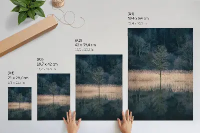 Poster Spiegelung eines einzelnen Baumes im See mit Nebel