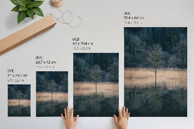 Poster Spiegelung eines einzelnen Baumes im See, Nebel