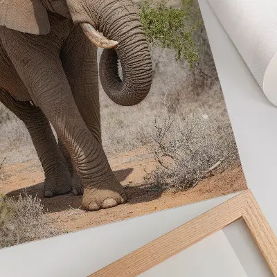 Leinwand-Kunstdruck Elefant in der afrikanischen Savanne