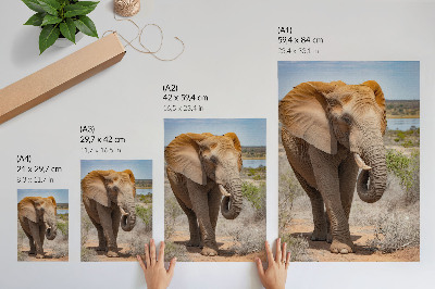 Kunstdruck leinwand Elefant in der Savanne, majestätische afrikanische Natur