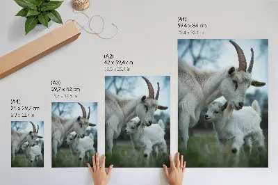 Poster mit Ziegen vor einer Naturkulisse voller Frieden und Harmonie