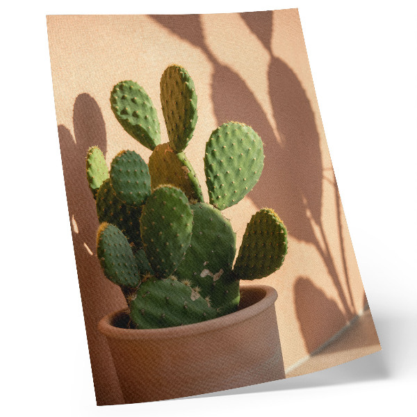Wandposter Kaktus im Topf, Schatten, zarte Farben, beruhigend