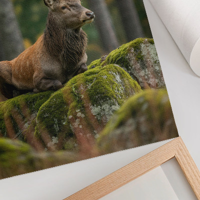Kunstdruck leinwand Ein majestätischer Hirsch in einer Waldlandschaft