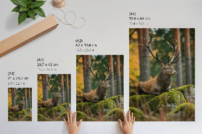 Kunstdruck leinwand Ein majestätischer Hirsch in einer Waldlandschaft