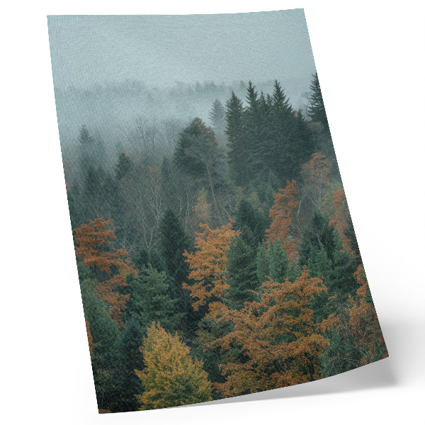 Wandposter Grüne Bäume, Nebel, orange Blätter, Frieden