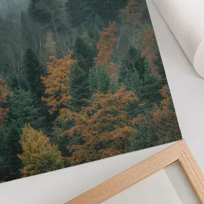 Wandposter mit Motiv von grünen Bäumen im Nebel mit orangen Blättern und friedlicher Atmosphäre