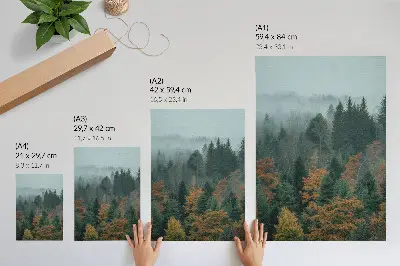 Wandposter mit Motiv von grünen Bäumen im Nebel mit orangen Blättern und friedlicher Atmosphäre