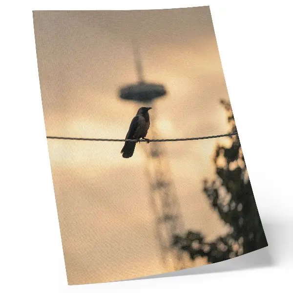 Leinwand-Kunstdruck vogel auf einer leitung vor zartem abendhimmel