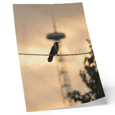 Leinwand-Kunstdruck vogel auf einer leitung vor zartem abendhimmel