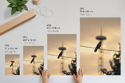 Kunstdruck leinwand Vogel auf einer Leitung, Abendhimmel, zarter Hintergrund