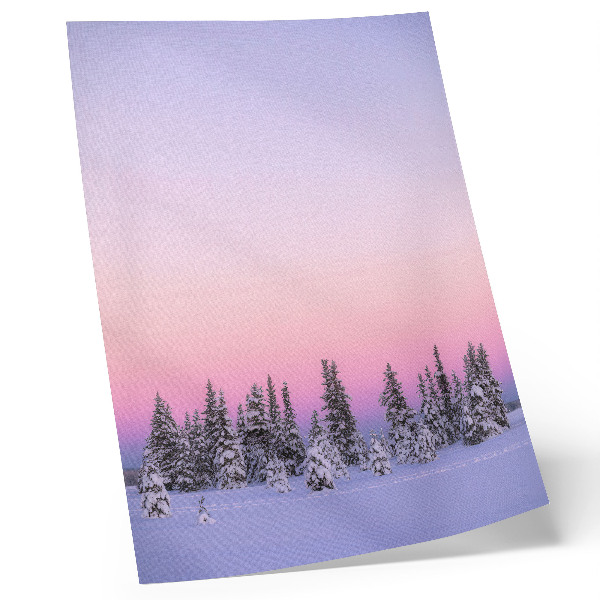 Kunstdruck leinwand Winterbäume, stimmungsvoller Pastellhimmel, Frieden