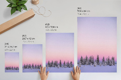 Kunstdruck leinwand Winterbäume, stimmungsvoller Pastellhimmel, Frieden