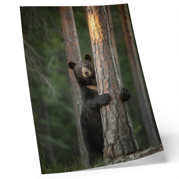 Poster Bär im Wald, realistische Komposition
