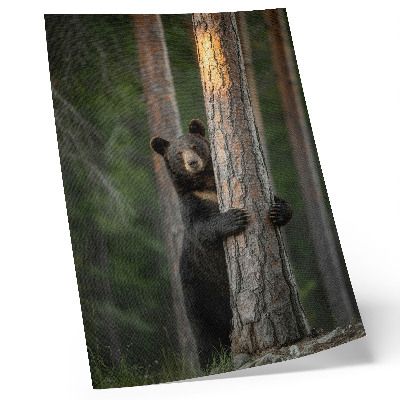 Poster Bär im Wald, realistische Komposition