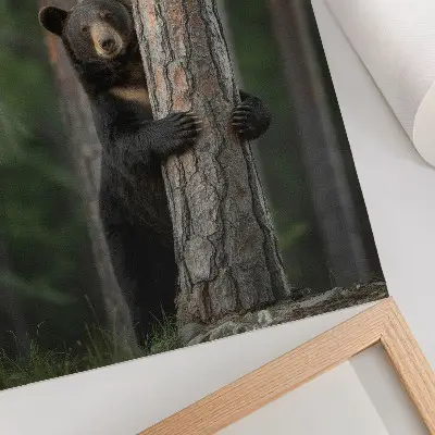 Poster Bär im Wald in realistischer Komposition
