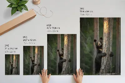 Poster Bär im Wald in realistischer Komposition