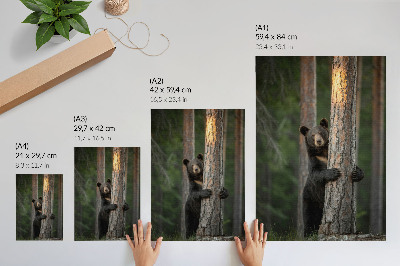 Poster Bär im Wald, realistische Komposition
