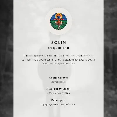 Poster Bär im Wald in realistischer Komposition