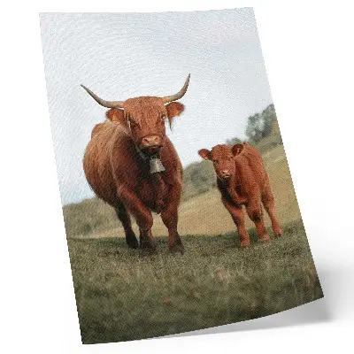 Wandposter ländliche Rinder vor einer grünen Baumlandschaft