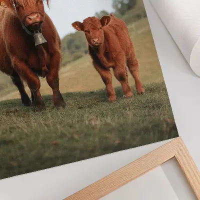 Wandposter ländliche Rinder vor einer grünen Baumlandschaft