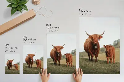 Wandposter ländliche Rinder vor einer grünen Baumlandschaft