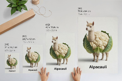 Wandposter Eine ungewöhnliche Kombination aus Alpaka und Blumenkohl