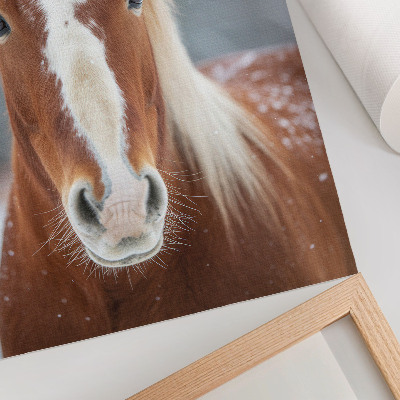 Poster Pferdeporträt Winterfrieden Natürlichkeit Harmonie