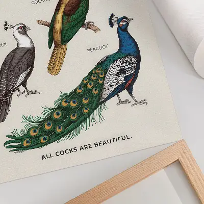 Leinwand-Kunstdruck mit elegantem Vogel- und Federmotiv in vielfältigen Farben