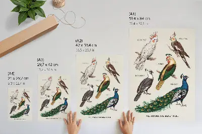 Leinwand-Kunstdruck mit elegantem Vogel- und Federmotiv in vielfältigen Farben