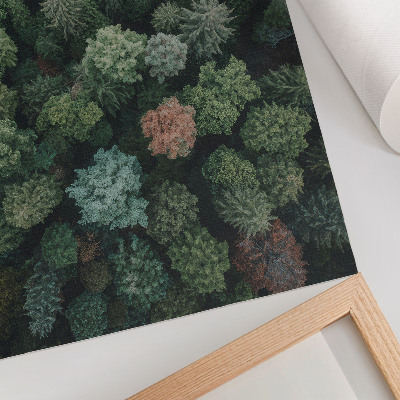 Wandposter Waldlandschaft von oben mit verschiedenen Blattfarben