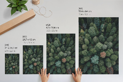 Wandposter Waldlandschaft von oben mit verschiedenen Blattfarben
