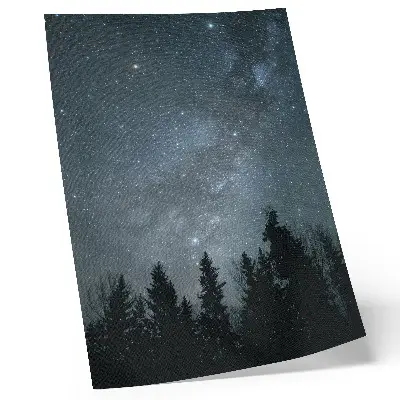 Leinwand-Kunstdruck ein Nachthimmel voller Sterne mit Baumsilhouetten