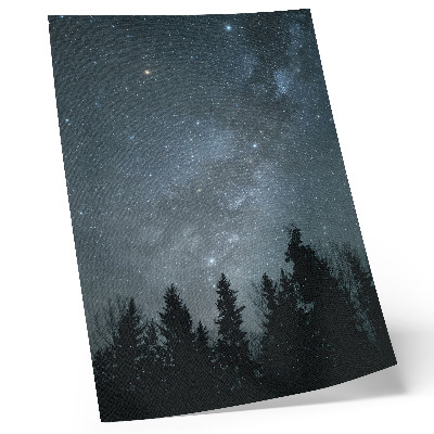 Kunstdruck leinwand Ein Nachthimmel voller Sterne und Baumsilhouetten