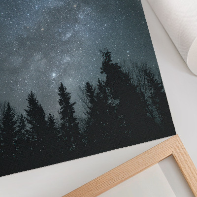 Kunstdruck leinwand Ein Nachthimmel voller Sterne und Baumsilhouetten