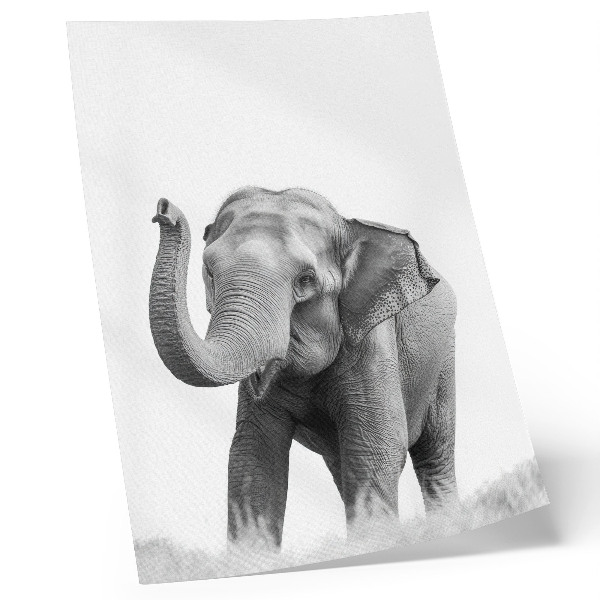 Poster Schwarzer Elefant mit erhobenem Rüssel
