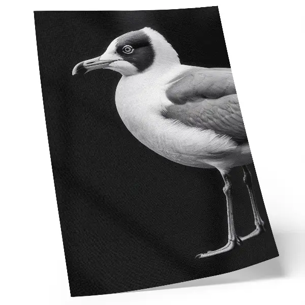 Wandposter mit minimalistischem schwarz-weißem Vogelmotiv