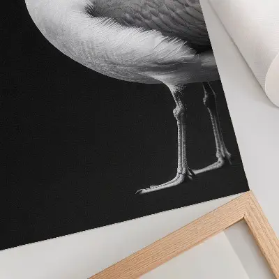 Wandposter mit minimalistischem schwarz-weißem Vogelmotiv