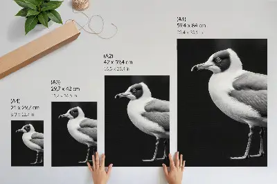 Wandposter mit minimalistischem schwarz-weißem Vogelmotiv