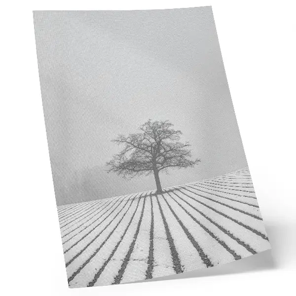 Poster Baum im Schnee als minimalistische Winterlandschaft