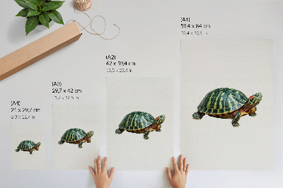 Kunstdruck leinwand Grüne Schildkröte mit Naturharmonie-Details