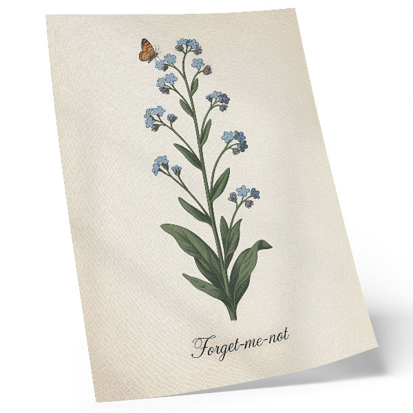 Kunstdruck leinwand Vergissmeinnicht und ein Schmetterling auf cremefarbenem Hintergrund