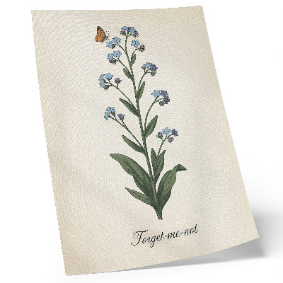 Kunstdruck leinwand Vergissmeinnicht und ein Schmetterling auf cremefarbenem Hintergrund