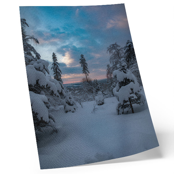 Kunstdruck leinwand schneebedeckte Bäume, malerische Landschaft, Himmel